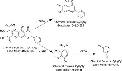 On-line identification of the chemical constituents of Polygoni Multiflori Radix by UHPLC-Q-ToF MS/MS